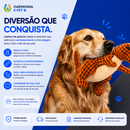 BRINQUEDO DE PELÚCIA DINOSSAURO PARA PETS – INTERATIVO E MACIO