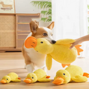 🦆 Patinho amarelo interativo de pelúcia – acessório pet divertido e aconchegante para cães.